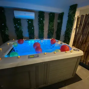 Magnifique Avec Jacuzzi Privatif Vue Hébergement de vacances